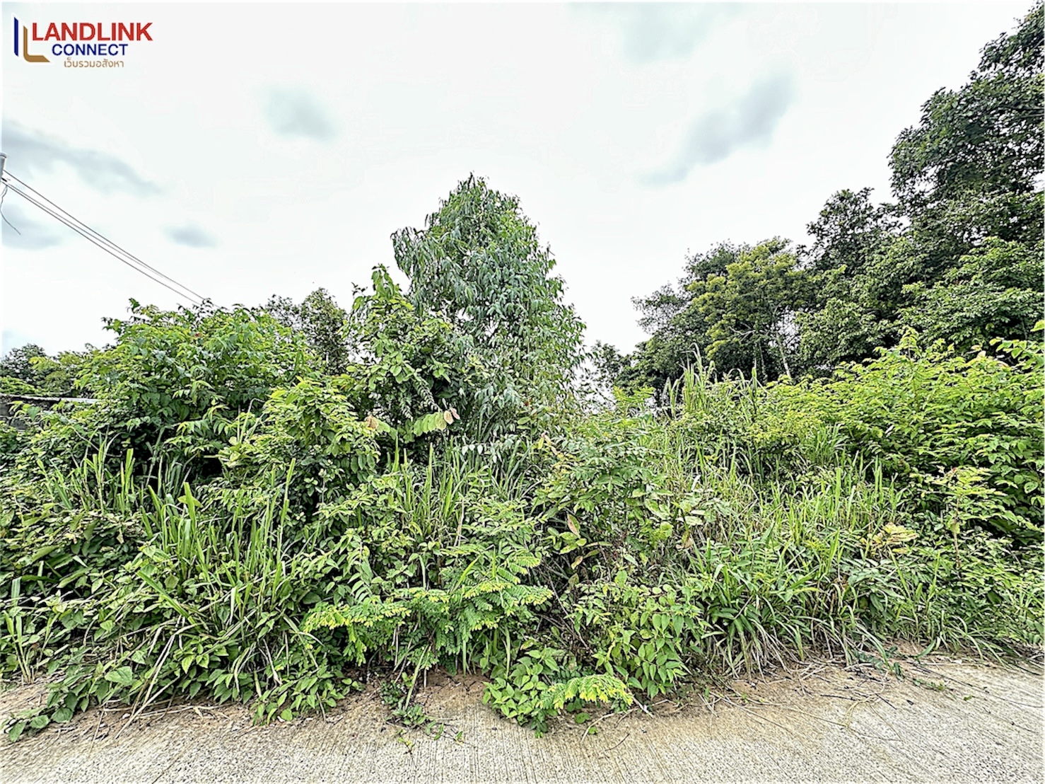 Photoroom_25680711_115226