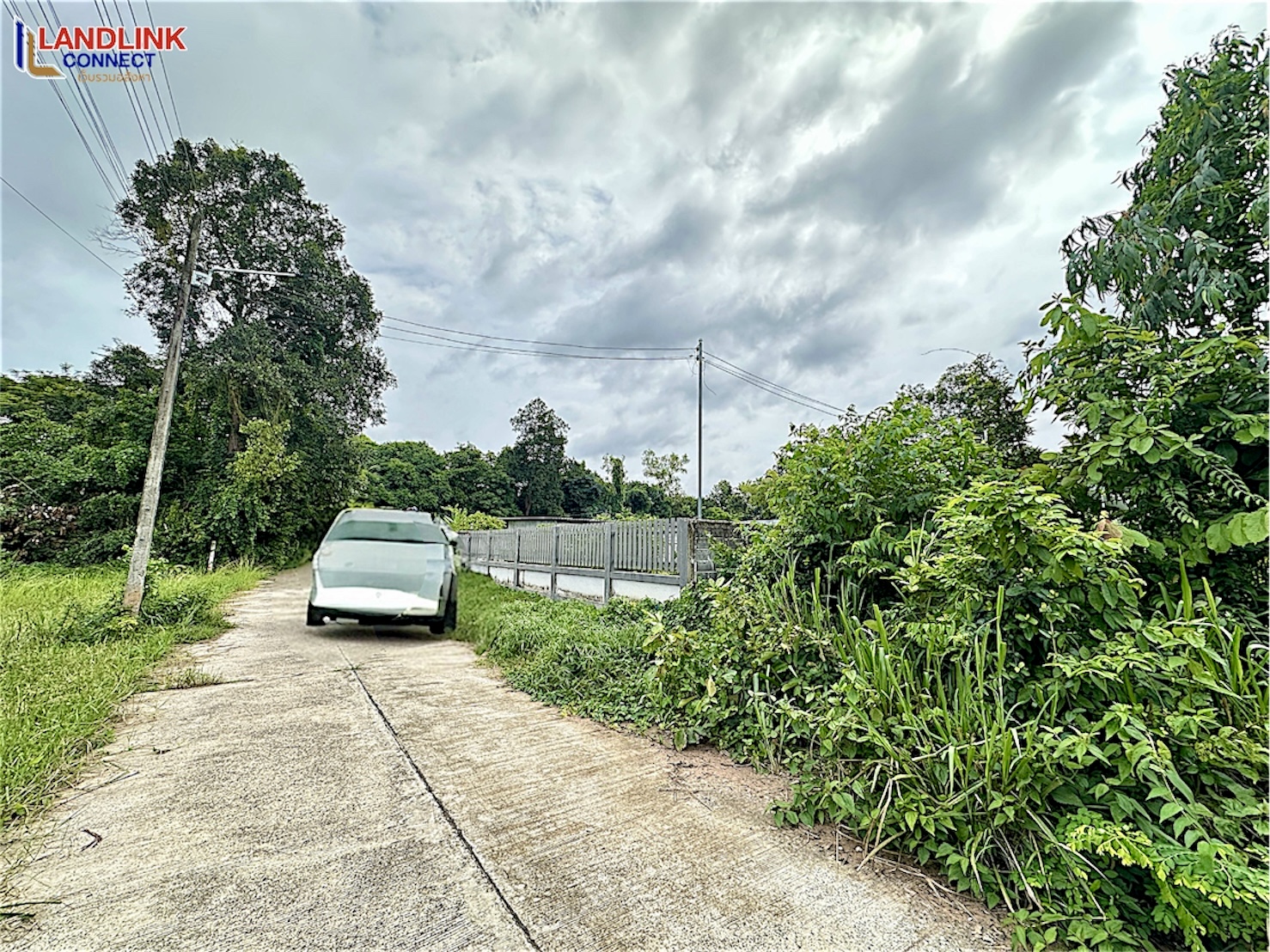 Photoroom_25680711_115325
